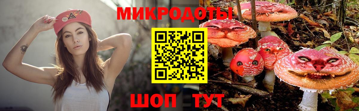 Долгопрудный  Псилоцибиновые грибы MAGIC MUSHROOMS  наркошоп  Вход с VPN 