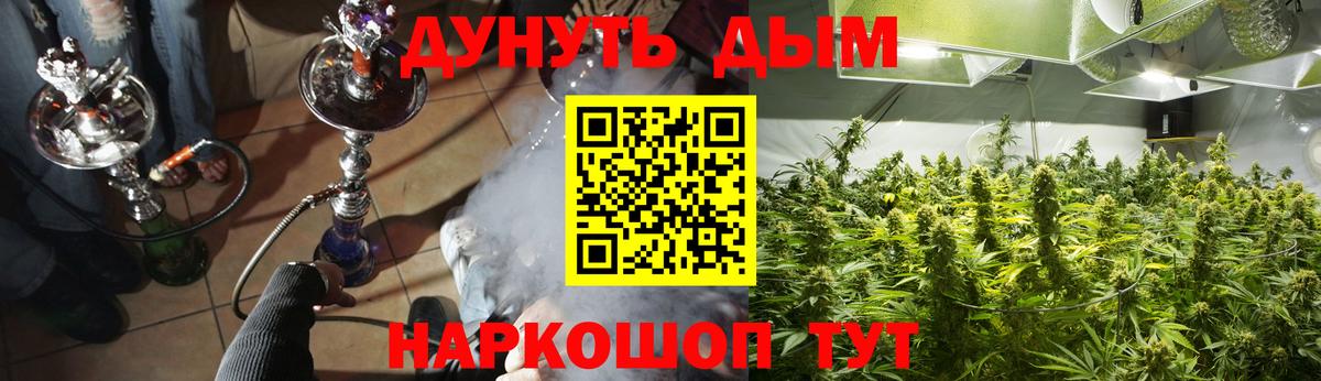 Бошки Шишки THC 21%  Шишки марихуана план  МАРИХУАНА гибрид  Вход с VPN  Долгопрудный  Бошки Шишки тримм 